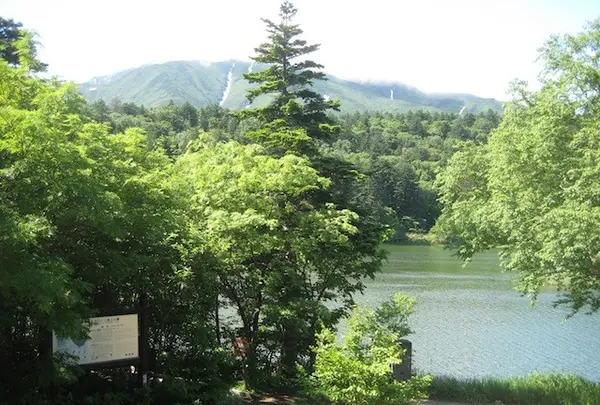 すがすがしい景色。