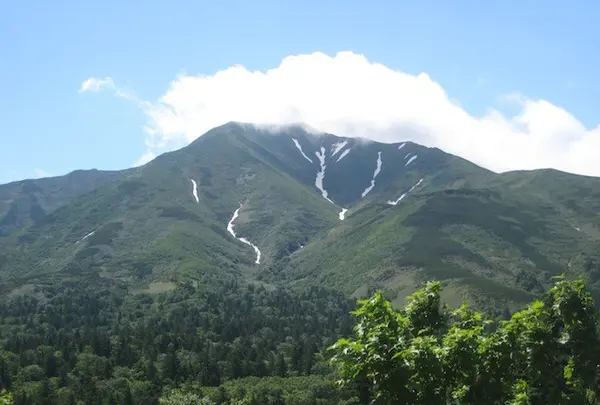 利尻島の写真・動画_image_90078