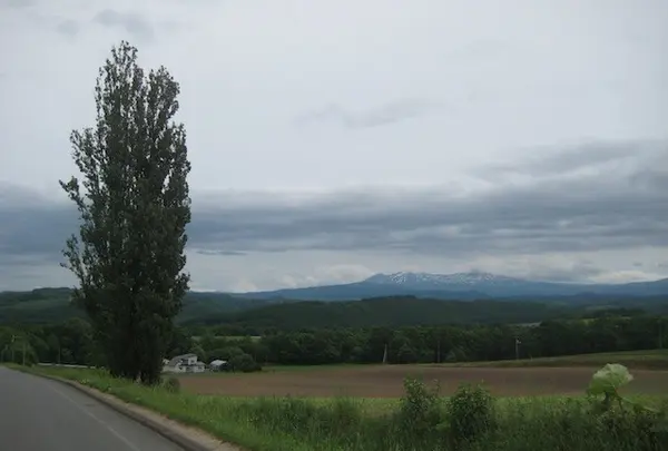 富良野市の写真・動画_image_90221