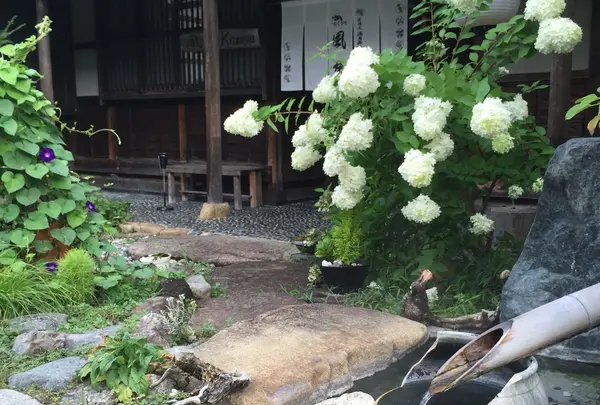 Kazeya (風屋)の写真・動画_image_90286