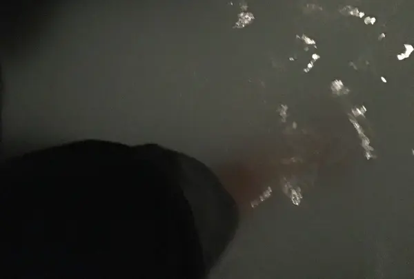 乳白色の水が。