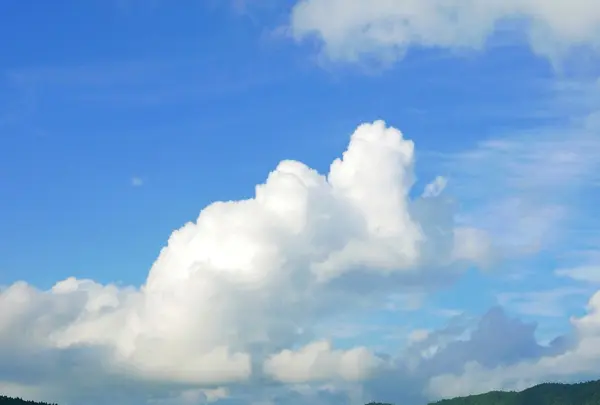 青木湖の写真・動画_image_90431