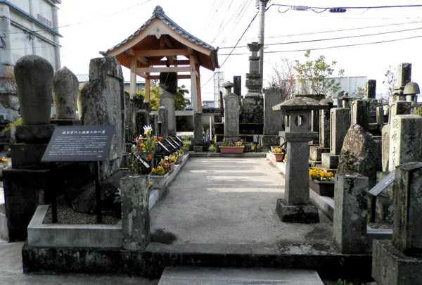 日出城趾（暘谷城趾）の写真・動画_image_90457