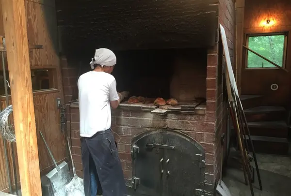 naozoの写真・動画_image_90481