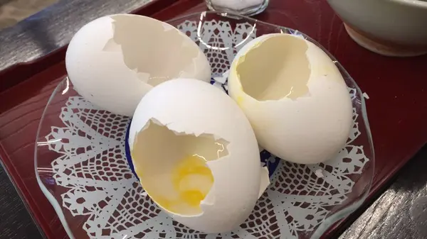 ホテル鹿の湯の写真・動画_image_90742