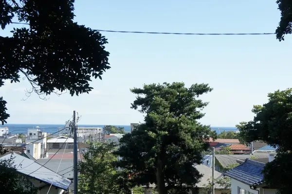 甘縄神明宮の写真・動画_image_91032
