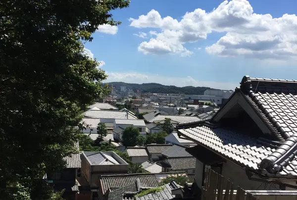阿智神社の写真・動画_image_91049