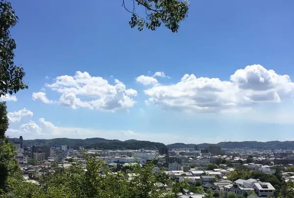 阿智神社の写真・動画_image_91053