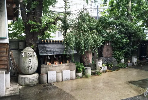 波除稲荷神社の写真・動画_image_91107