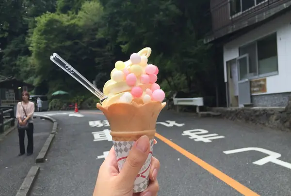 高千穂峡の写真・動画_image_91354