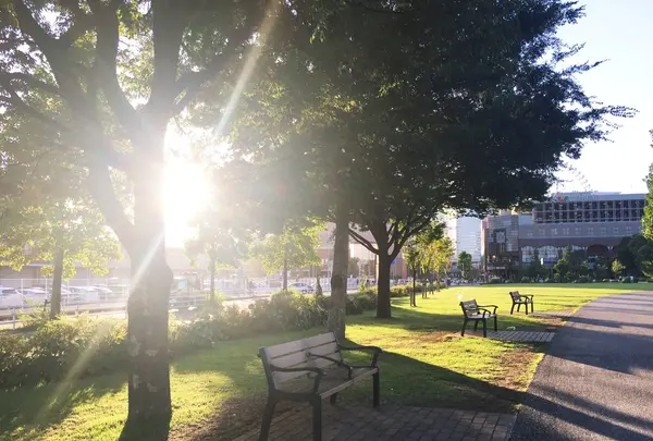MARINE＆WALK YOKOHAMA（マリン アンド ウォーク ヨコハマ）の写真・動画_image_91425