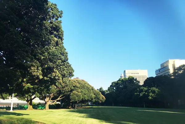 山下公園の写真・動画_image_91443