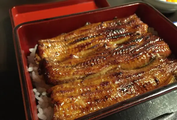 小島屋の写真・動画_image_91520