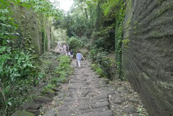 鋸山日本寺の写真・動画_image_91530