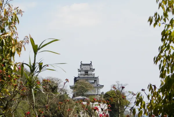 汐湯の写真・動画_image_91801