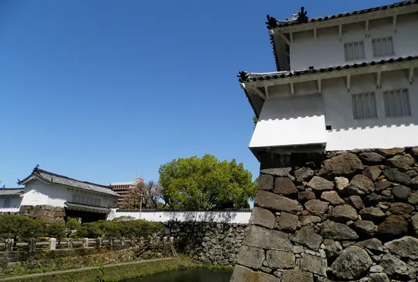 府内城址の写真・動画_image_91819