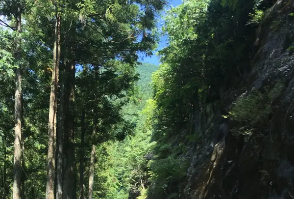 白髭大岩の写真・動画_image_91906