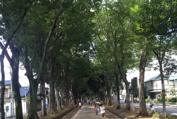 武蔵一宮 氷川神社の写真・動画_image_92015