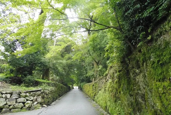 興聖寺の写真・動画_image_92480