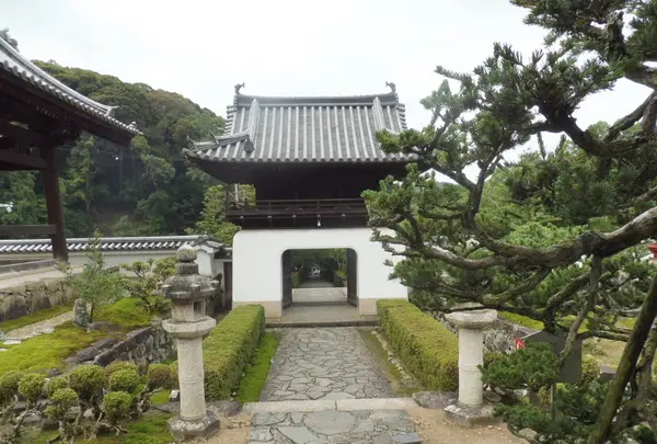興聖寺の写真・動画_image_92481