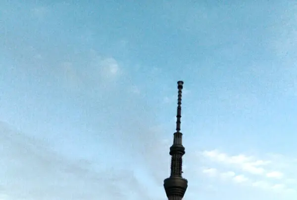 隅田川の写真・動画_image_92501