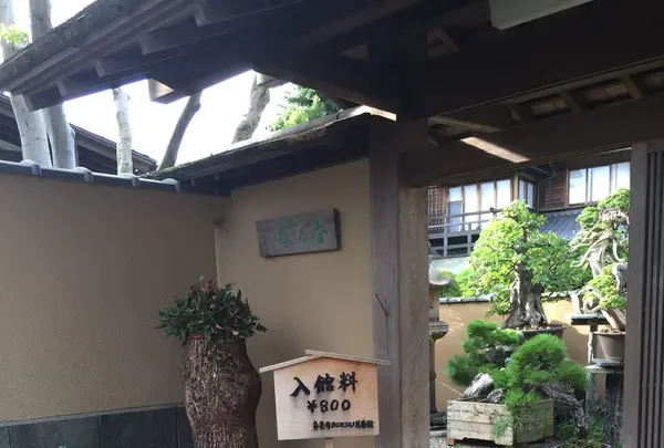 春花園の写真・動画_image_92562