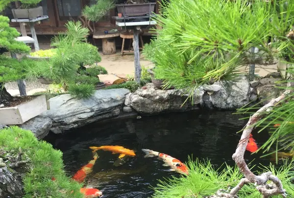 春花園の写真・動画_image_92564