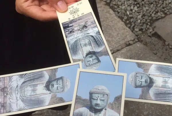 鎌倉大仏（高徳院）の写真・動画_image_92621