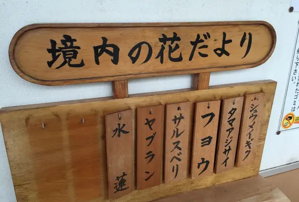 長谷寺の写真・動画_image_92624