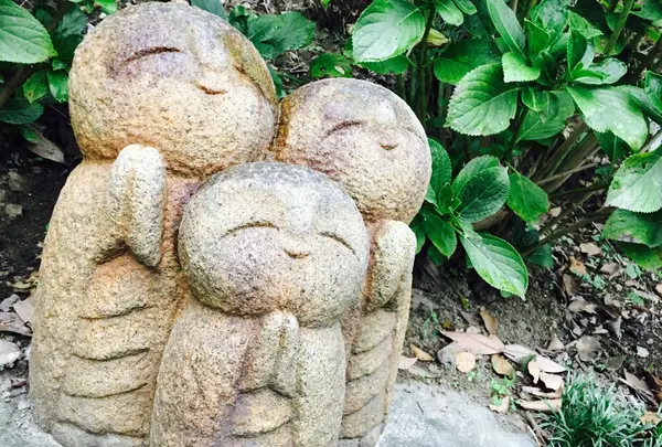 長谷寺の写真・動画_image_92627