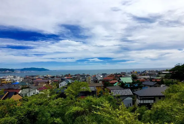 長谷寺の写真・動画_image_92628