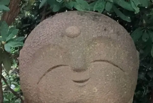 長谷寺の写真・動画_image_92629