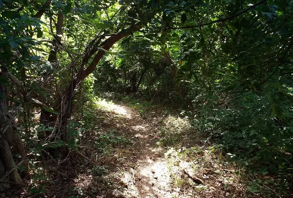 金ヶ崎温泉の写真・動画_image_92641