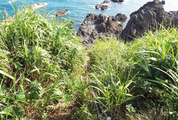 金ヶ崎温泉の写真・動画_image_92645