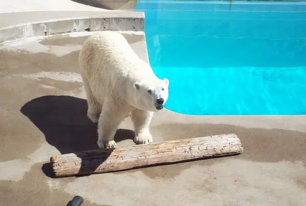 男鹿水族館GAOの写真・動画_image_92663
