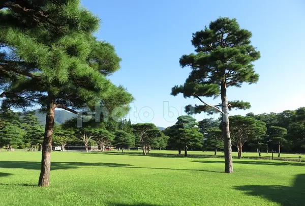 鶴ヶ城（若松城）の写真・動画_image_92707