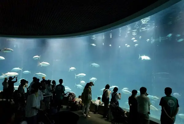葛西臨海水族園の写真・動画_image_92786