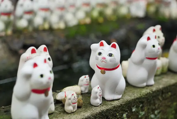 豪徳寺の写真・動画_image_92981