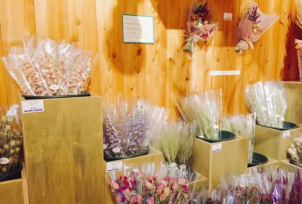 ファーム富田の写真・動画_image_93057