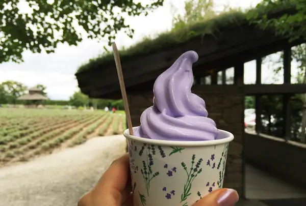 ファーム富田の写真・動画_image_93058