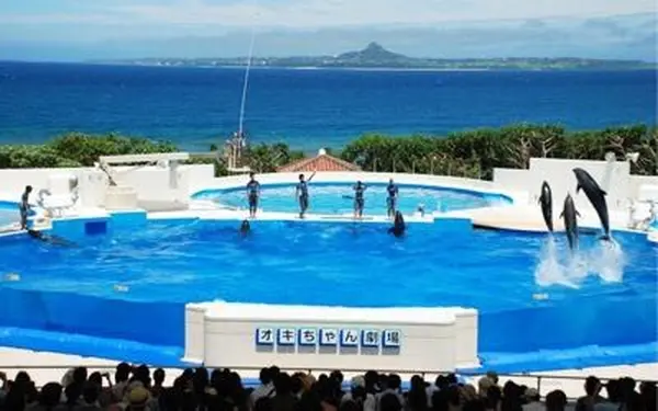 沖縄美ら海水族館の写真・動画_image_93165
