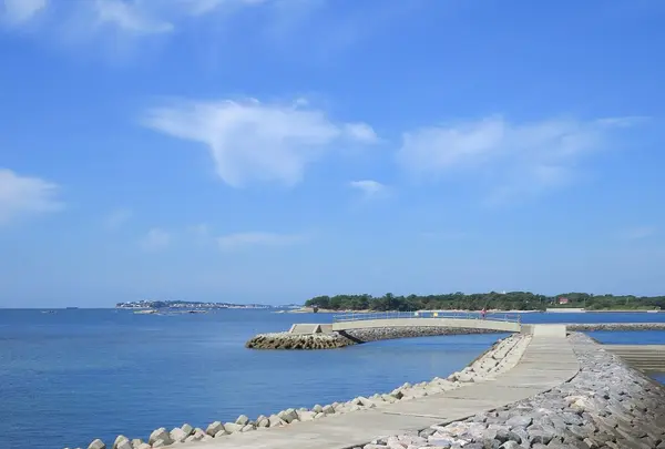 大浦海水浴場の写真・動画_image_93217