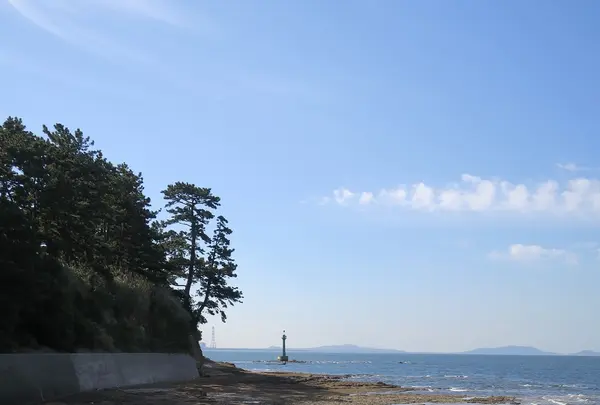 佐久島海釣りセンターの写真・動画_image_93219