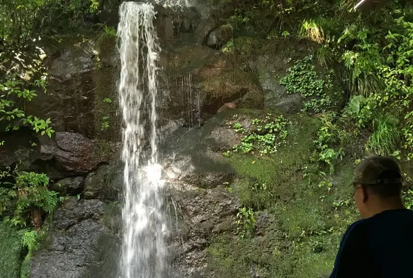 万葉公園の写真・動画_image_93280