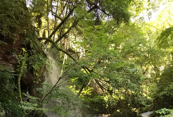 万葉公園の写真・動画_image_93281