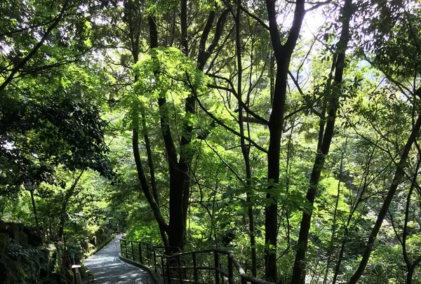 万葉公園の写真・動画_image_93283