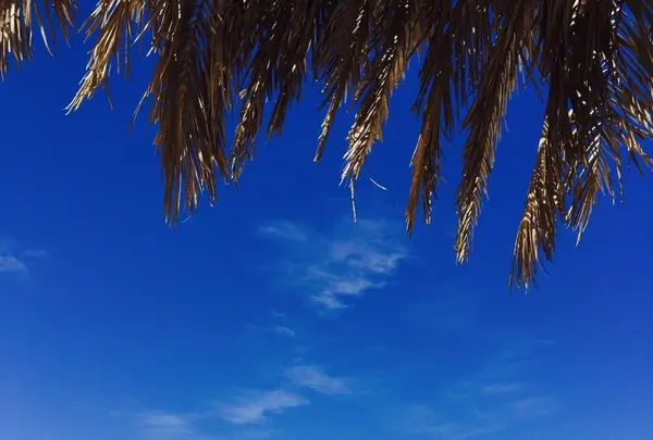 白良浜の写真・動画_image_93474