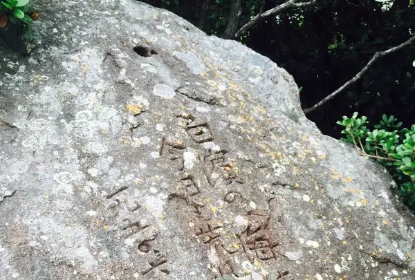 三段壁の写真・動画_image_93478