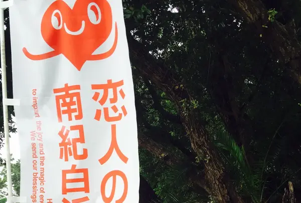 三段壁の写真・動画_image_93479