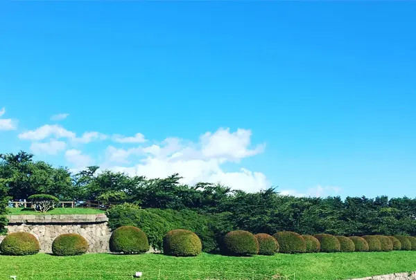 五稜郭タワーの写真・動画_image_93510